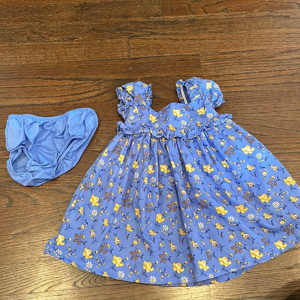 Janie and Jack Blue Yellow Floral Dress size 12-18 months
